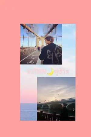 ปกนิยาย VMIN คู่ชีวิต