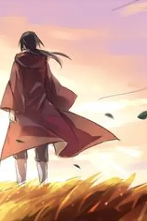 ปกนิยาย [NARUTO]คนบ้าทะลุมิติ!!!!
