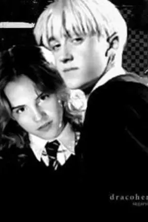 ปกนิยาย Fic Harry Potter:One Night [Draco x Hermione]