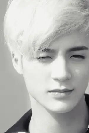 ปกนิยาย [Omegaverse] FIC: Dangerous [Nomin]