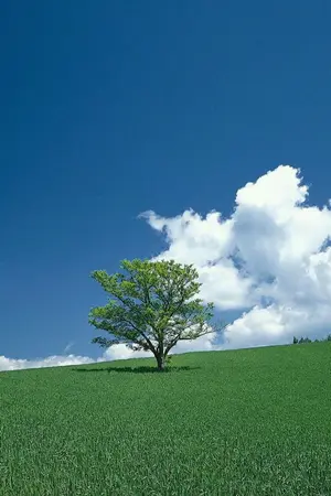 ปกนิยาย องศาของความสุข