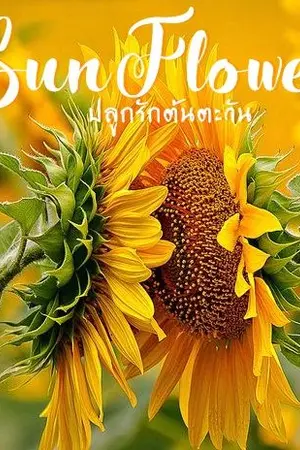 ปกนิยาย SunFlower ปลูกรักต้นตะวัน [Yaoi/BL]