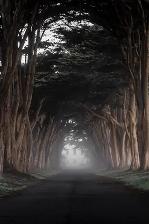 ปกนิยาย ZOMBIES 12 : 12 เดือนต้องรอด :-)