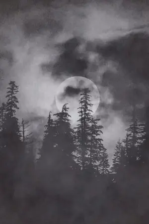 ปกนิยาย [EXO] [SF] DARK FOREST (KAIHUN,KAIBAEK,HUNBAEK,CHANBAEK)