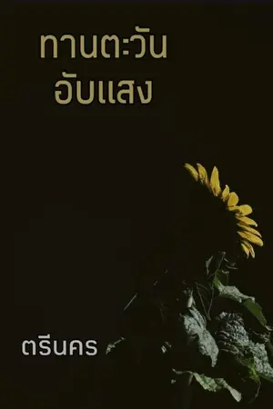 ปกนิยาย ทานตะวันอับแสง