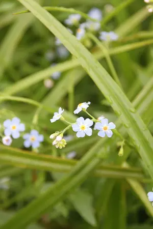 ปกนิยาย Crazy yoonmin