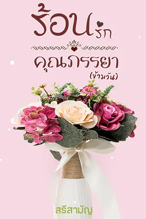 ปกนิยาย