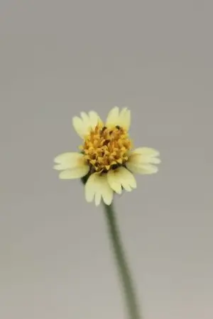 ปกนิยาย พี่คะ...