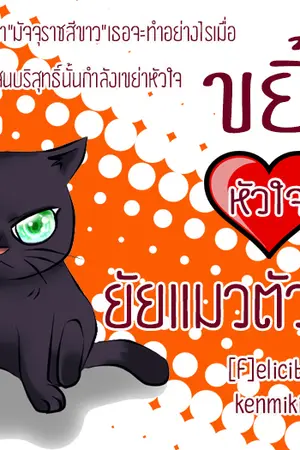 ปกนิยาย