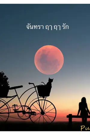 ปกนิยาย