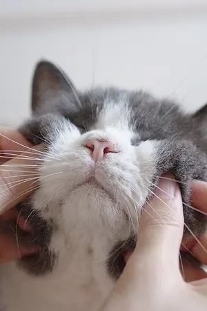 ปกนิยาย ❝ When I fall in love ❞ #เมื่อฟ้าหลงรัก