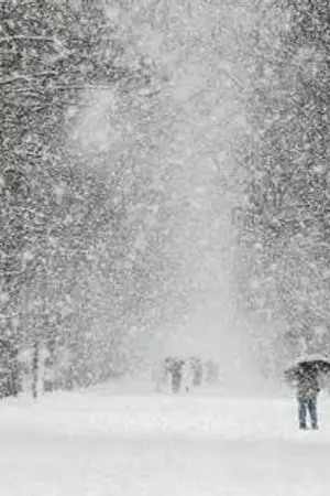 ปกนิยาย (exo) story