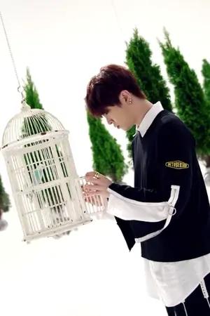 ปกนิยาย Well-Wishing [2Young Jinyoung x Youngjae]