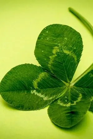 ปกนิยาย โลกิคนโชคดี[FrostStrange]