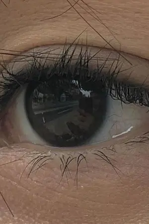 ปกนิยาย ลางสังหรณ์ของโนอาห์