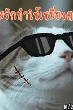 ปกนิยาย สตรียอดอัจฉริยะ ( รีไรท์ความฮา..เอาไว้อ่านแก้เครียด )