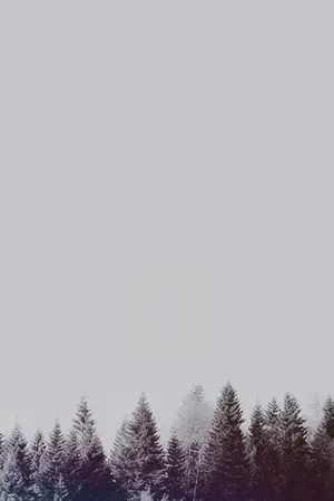 ปกนิยาย Geheim