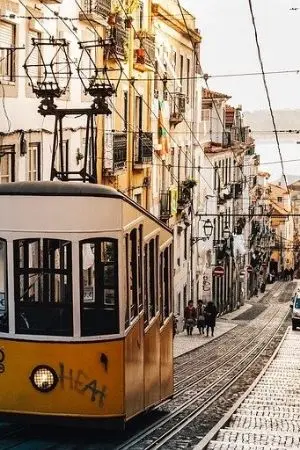 ปกนิยาย สุดยอดNPCในโลกซอมบี้ คือฉันคนนี้เองล่ะค่ะ ! [Harem]