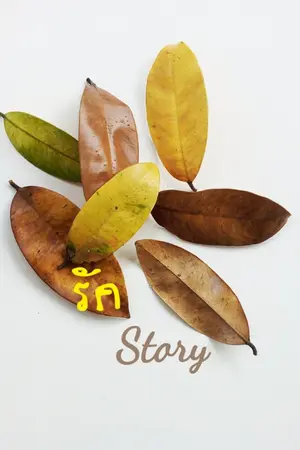ปกนิยาย รวมเรื่องสั้นชุด 'รัก Story'