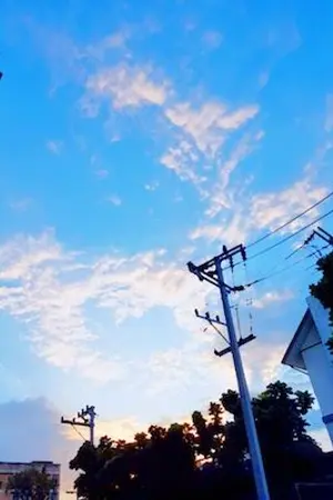 ปกนิยาย (sf/os) always. -markmin