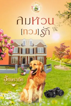 ปกนิยาย