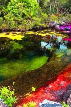 ปกนิยาย นิยาย I met her in Magical Wonderland. โลกเวทย์มนต์สุดมหัศจรรย์ เมื่อฉันได้พบเธอ…