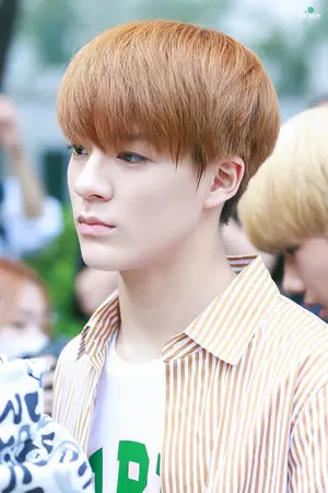 ปกนิยาย OS/SF NCT MarkNo {Only MarkNo}