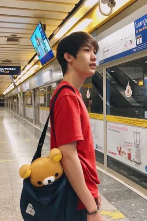 ปกนิยาย ตามใจเพลิน