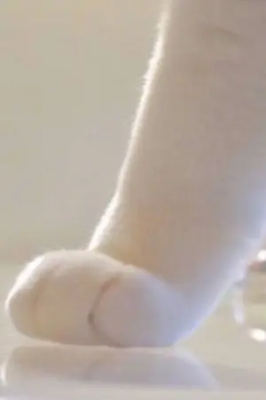 ปกนิยาย MOMMY (jhonjae)