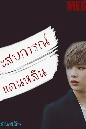 ปกนิยาย ประสบการณ์แดนหลิน [Danlin] #แดนหลิน