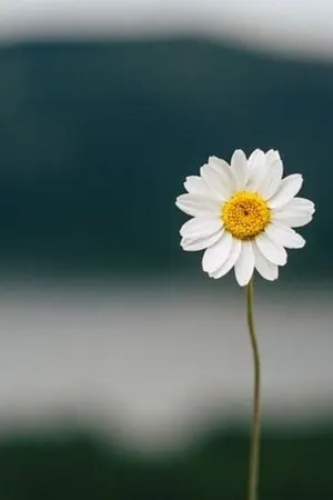 ปกนิยาย รักตัวเองบ้าง