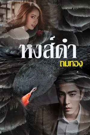 ปกนิยาย