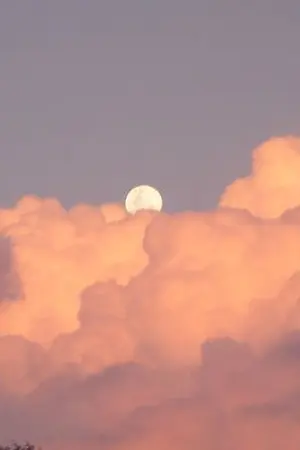 ปกนิยาย อาบอรุณ | minno vs markno vs renno