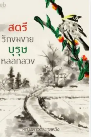 ปกนิยาย