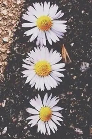 ปกนิยาย [BTS] U N F R I E N D ' s | VKOOK  #วีกุกอันเฟรนด์