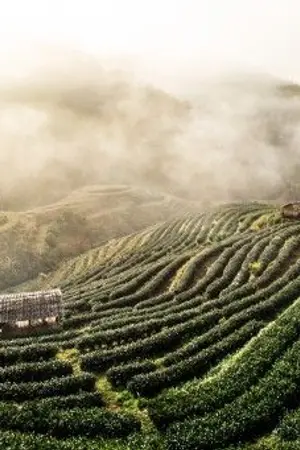 ปกนิยาย จะรักหรือจะร้าย เอาไงกันแน่? Yaoi