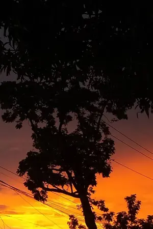 ปกนิยาย เรื่องสั้น : คงเป็นฉันคนเดียวที่ 'ฝันกลางวัน'