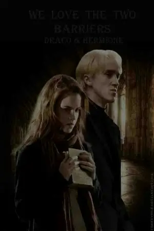 ปกนิยาย We love the two barriers (DM//HG)