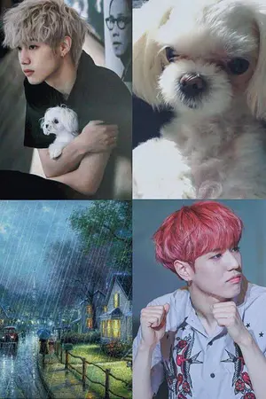 ปกนิยาย COCO - YUMARK