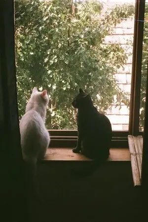 ปกนิยาย I think I’d miss you even if we’d never met.