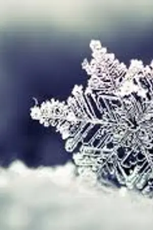 ปกนิยาย Tears from the cold - นํ้าตาจากความเย็น