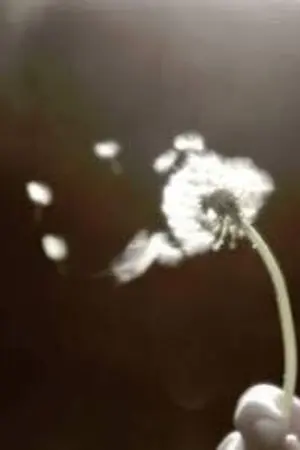 ปกนิยาย {NCT|Markhyuck/Markchan} I wish