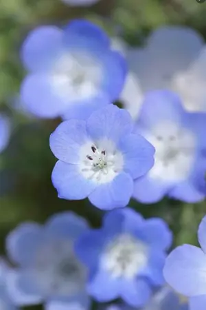 ปกนิยาย ethereal.