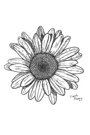 ปกนิยาย 10 facts about him — minhwan