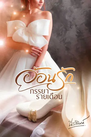 ปกนิยาย อ้อนรักภรรยารายเดือน(มี E-book)