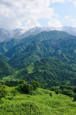 ปกนิยาย แก้วตากลางฤทัย