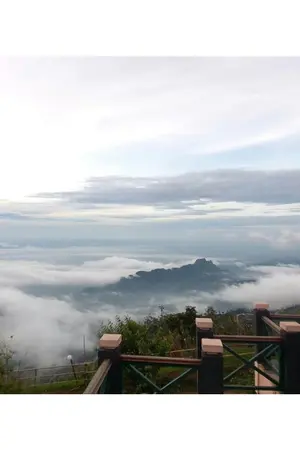 ปกนิยาย [EXO BLACKPINK :: SEHUN x JISOO] GreenForest