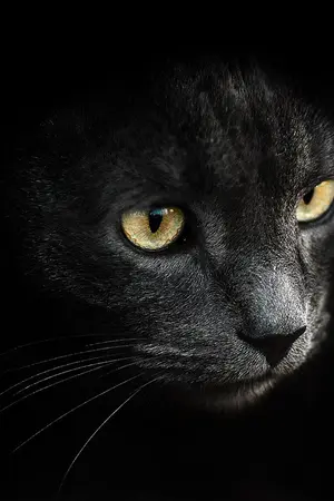 ปกนิยาย Consciousness Dimension : มิติสัมปัชชัญญะ