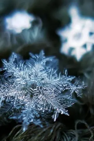 ปกนิยาย จิตวิญญาณหิมะ