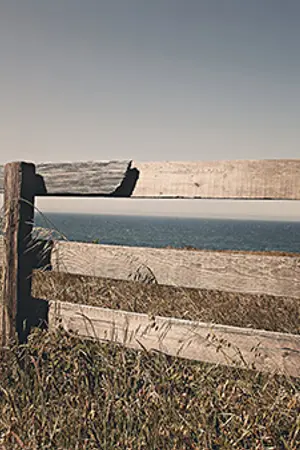 ปกนิยาย Fic NCT : Zoey (Johnten)